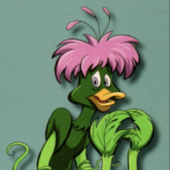 Zavii