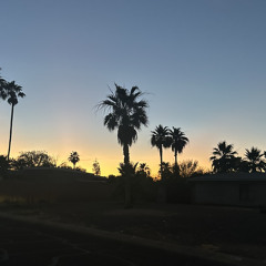DAVIDINSTORY