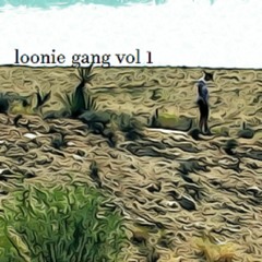 LOONIE GANG