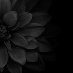 Persephone Jones