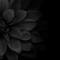 Persephone Jones
