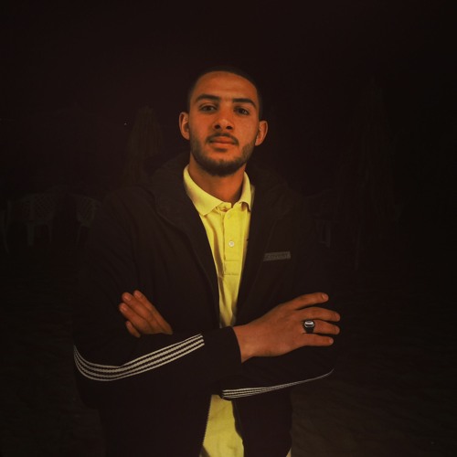 ziad tarek’s avatar