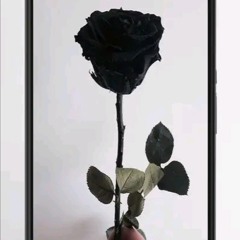 روكا