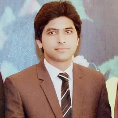 Shahzad Haadi