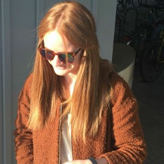 _steckenpferd_