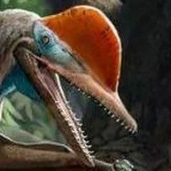 Pterosaur with internet access