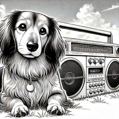 Turn it up - DJ Boomdog