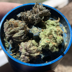 STONEY
