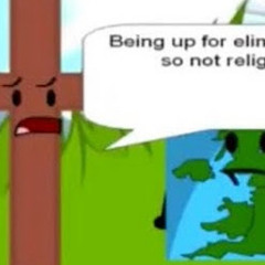 bfdi fan