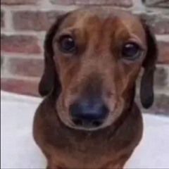 Luis
