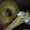 miguelo_0000
