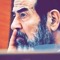 محمد النجار