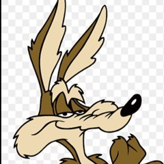 Wile E The Best