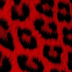 Xtraz