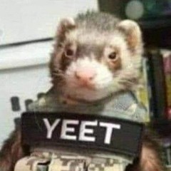 Tactical Ferret