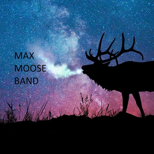 Max Moose Band’s avatar