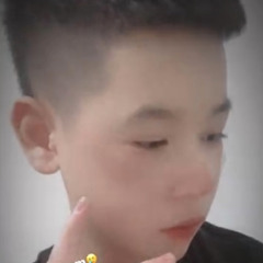 Phung Tuan Huy