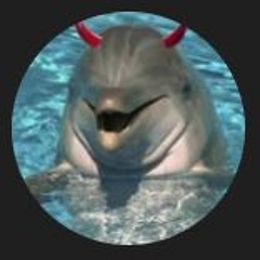 Dolphin Fucker