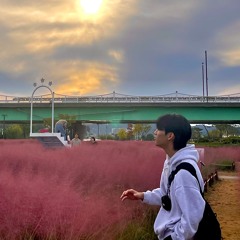 RIINO