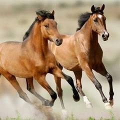 البسمه الصافية