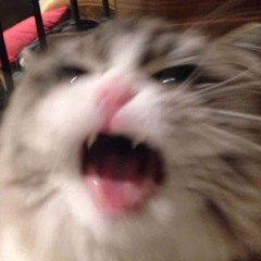 Moi