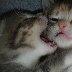 Наркотестер🇩🇪