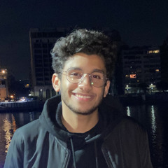 Karim Ali