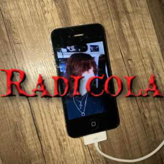 radicola