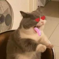 Just some lofi thats all