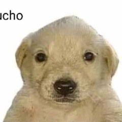Waump_P