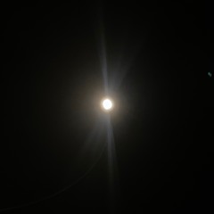 04061