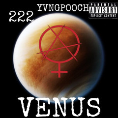 Yvng Pooch