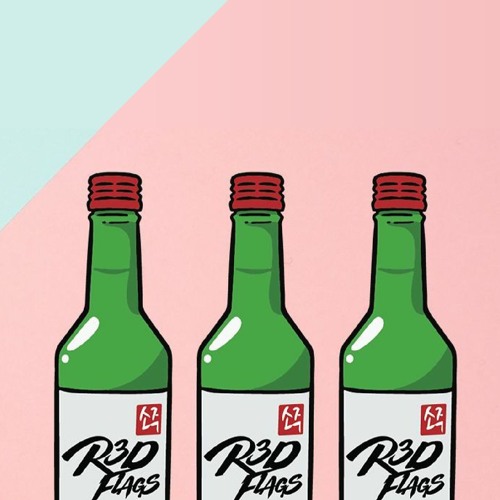 R3D FLAGS artist photo