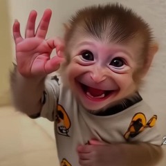 Винт