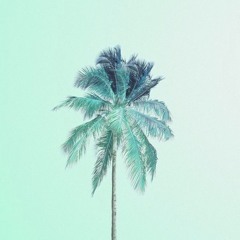 D A L L A S