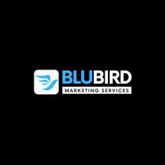 Blubirdmarketingservices