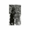 User 125409622