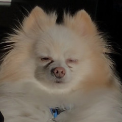 brandon <3