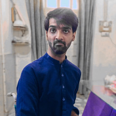 Muhammad Sajjad Haider