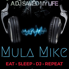 DJ Mula Mike