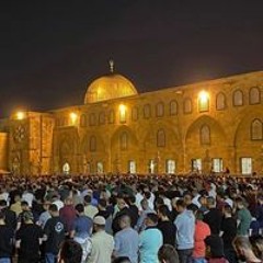 سآرة طارق