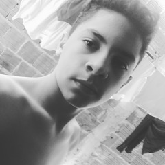 yCristalZ.O.Bichao