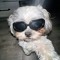 Mattiee