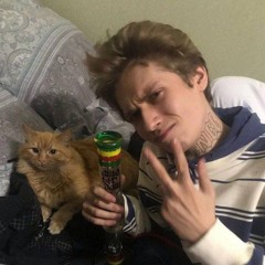 тарпеда прикл