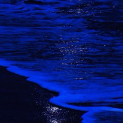 💙 𝒜𝓁𝓏𝓏 💙