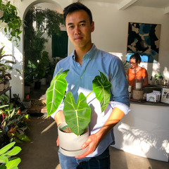 Jimmy Luo