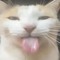 giki