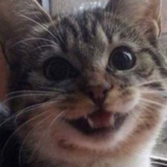 Loo
