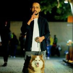 وائل الليبي