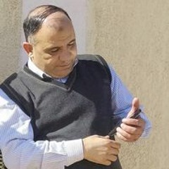 محمود حسين الديب